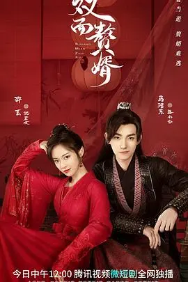 《双面赘婿第二季》：身份反转，腹黑赘婿玩转商战！高能剧情，爆笑来袭！