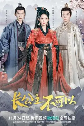 长公主不可以 海报
